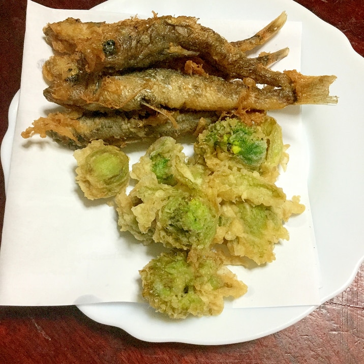 メヒカリの天ぷら 丸ごとカルシウム レシピ 作り方 By とりあえず乾杯 楽天レシピ メヒカリの天ぷら 丸ごとカルシウム レシピ 作り方 By とりあえず乾杯 楽天レシピ